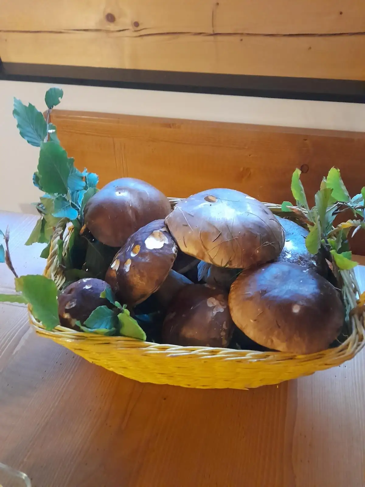 Cesto di funghi porcini