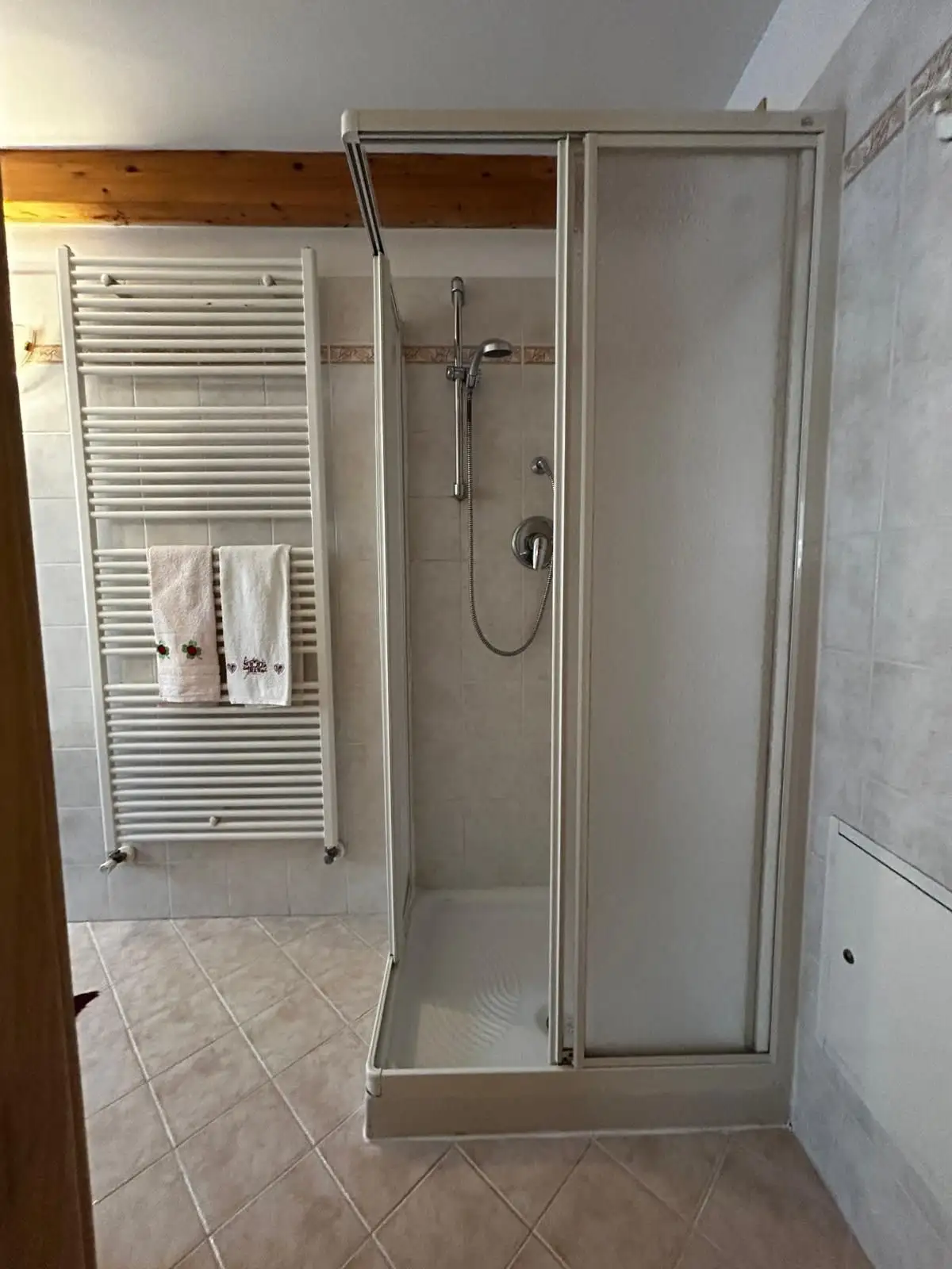 Il bagno con doccia di una camera in dependance